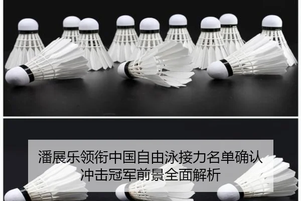 潘展乐领衔中国自由泳接力名单确认 冲击冠军前景全面解析